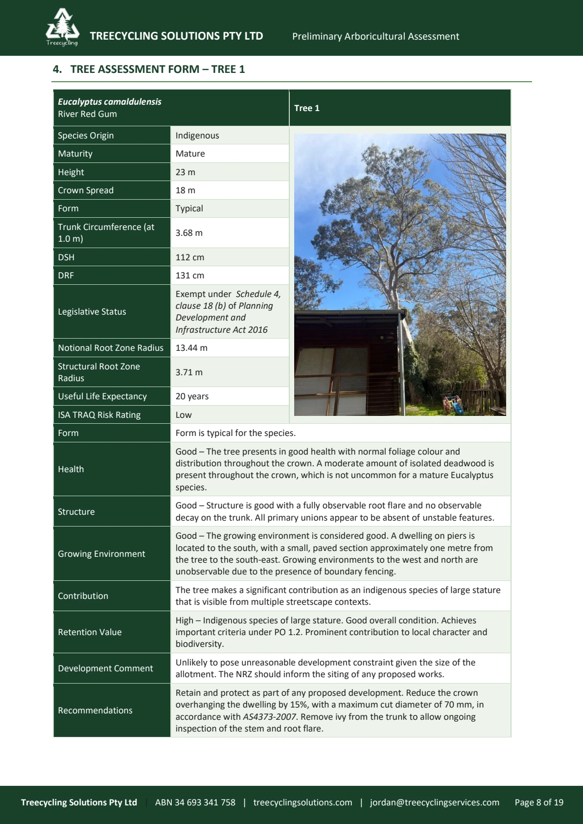 A page of a generated ArborFlow report: tree assessment form with DSH, DRF, notional root zone radius, structural root zone radius and recommendations.